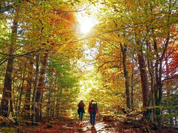 Goldener Oktober im Relilax