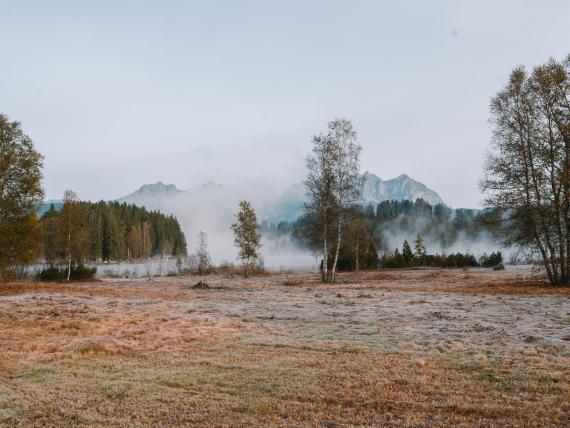 Frostige Wiese mit Bäumen und nebligen Bergen beim Schlosshotel Kitzbühel