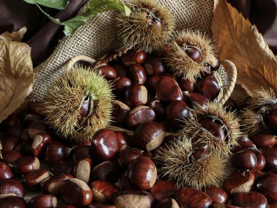 Törggelen nell'autunno dorato in Alto Adige