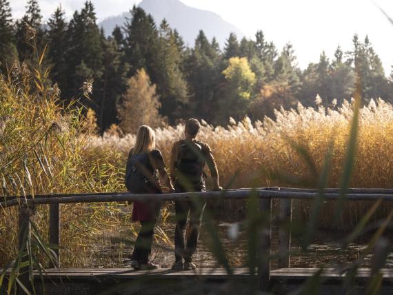 Autumn Delights by the Lake