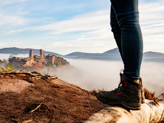 Pfalzblick Wald Spa Resort Aussicht auf Burg und Nebel von einem Wanderer