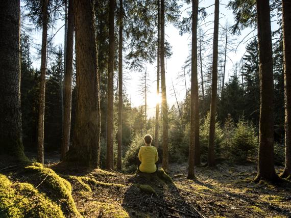 Person sitzt im Wald im Sonnenlicht beim Parc Hotel Florian
