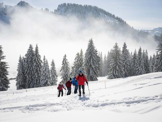 Winter-Erlebnistage