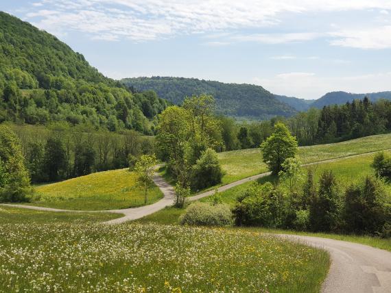 Wandern, Golfen und Genießen