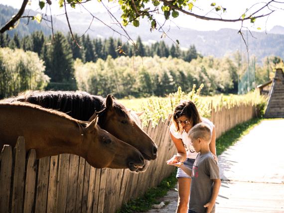 Die Familienhitwochen