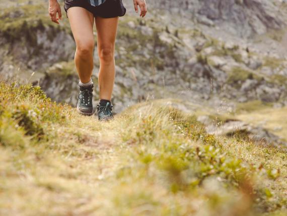 Esperienze Estive in Val di Fiemme