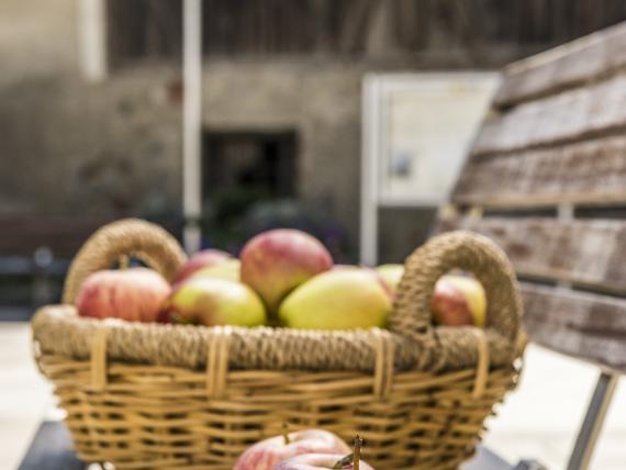 Apple & Autumn Escape