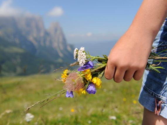 Bergfrühling in den Dolomiten