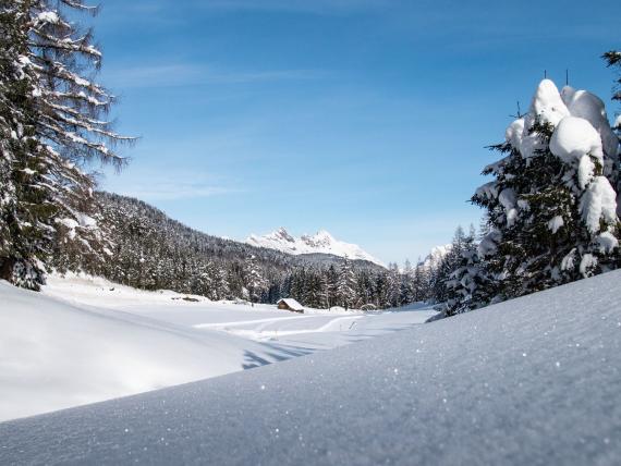 Schneebedeckte Berglandschaft mit Wald und blauem Himmel beim Biohotel Leutascherhof