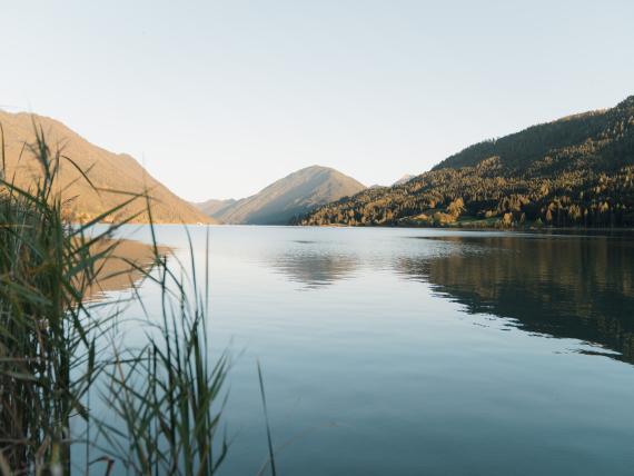 LACUS 4=3 Frühsommerspecial