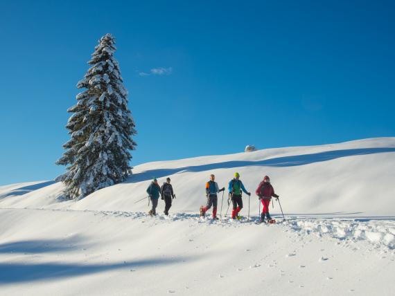 Speciale Inverno