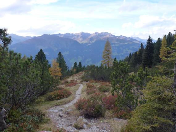 Wanderweg im Hochfeldhof mit Blick auf bewaldete Berge und Himmel