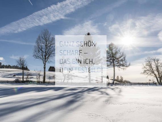 Settimana bianca – 4 notti