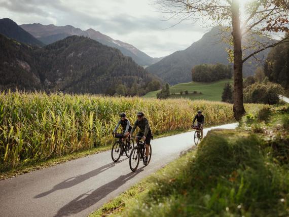 Radfahrer auf einem Weg durch ein Tal mit Maisfeld und Bergen – Schwarzer Adler