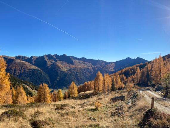 Goldener Herbst im Gsiesertal