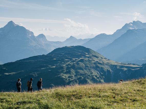 Hotel Aurora Wanderer auf grünem Hügel mit Alpen im Hintergrund