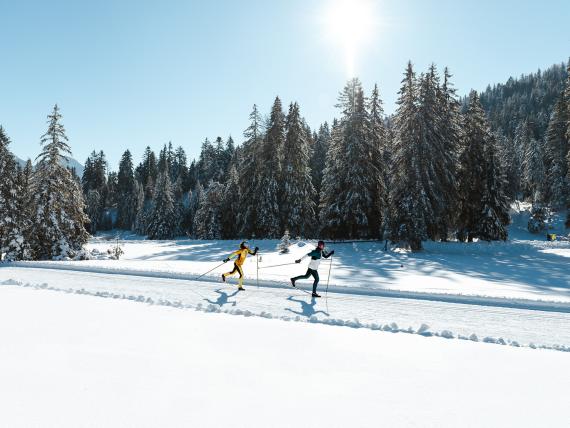Langläufer auf einer sonnigen Loipe im verschneiten Wald beim Biohotel Leutascherhof