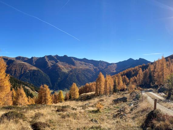 Herbstgenuss im Gsiesertal