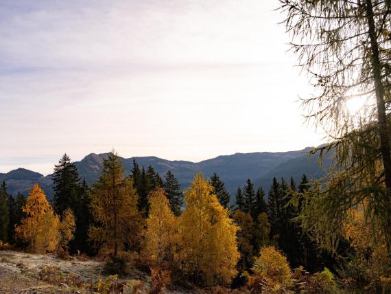 Ziach und Candy stehen auf Gipfeln mit Blick auf Berglandschaft bei Sonnenuntergang