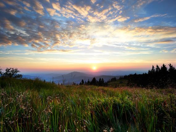 Sonnenuntergang über Bergwiesen mit Blick vom Hammerhof Bodenmais