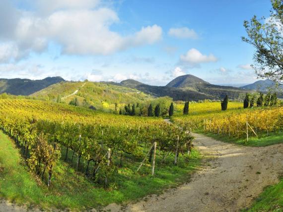 Den Spätsommer in den Colli Euganei entdecken