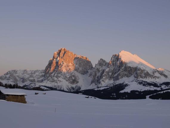 Super Januar Vorteilswoche 7=5