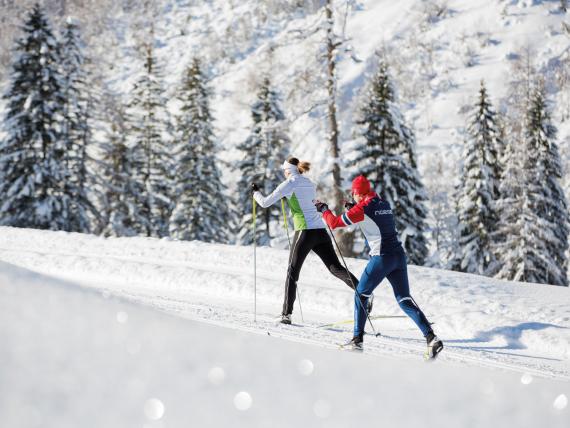 Cross-country skiers at snowy Familienresort Buchau with pine trees