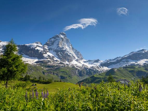 Cervino Matterhorn Ultra Race
