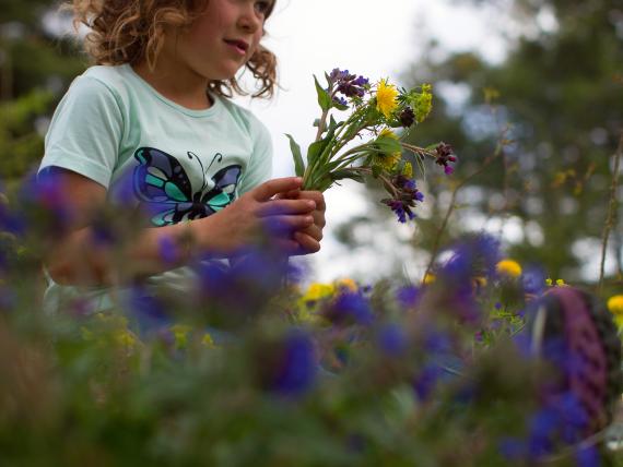 Südtiroler Blütengenuss-Wochen in Natz-Schabs