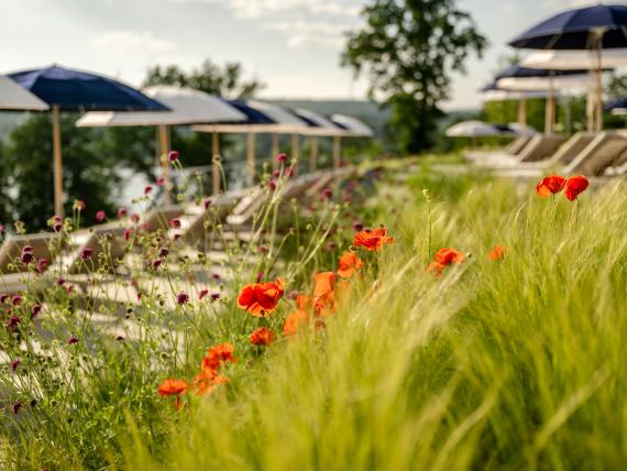 Frühlingsfrische am See