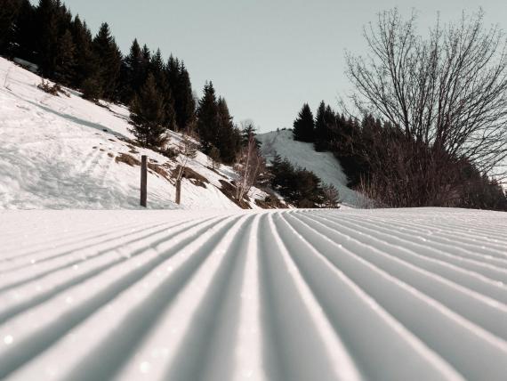 DER GREIL frische Skispur im Schnee an bewaldetem Berghang