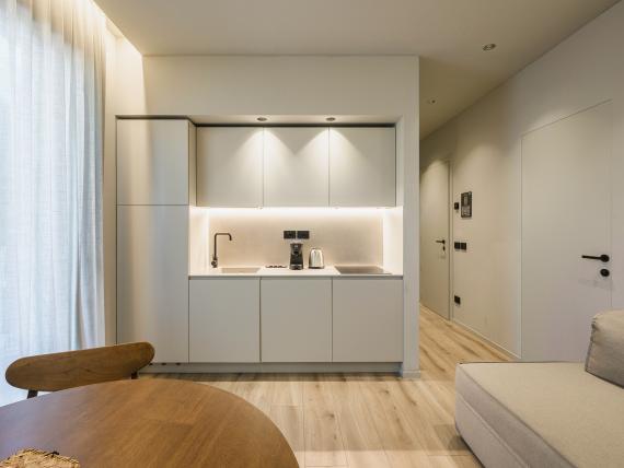Apartments Suite Balcony