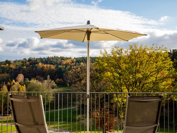 Penthouse-Suite Traubennestl