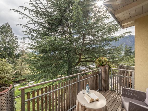 Juniorsuite park view