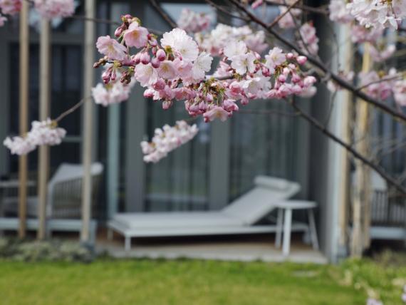 Studio mit Gartenblick