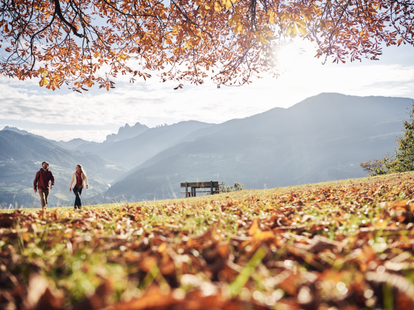 Golden autumn & Törggelen in Brixen 