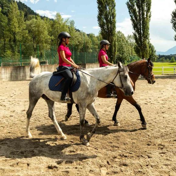 LEZIONE DI EQUITAZIONE INDIVIDUALE CONGIUNTA (A 2. O A 3.)