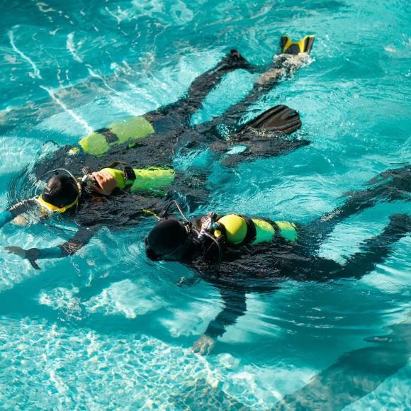 BASIC COURSE - PADI SEAL TEAM