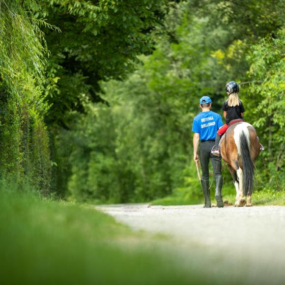 PASSEGGIATA GUIDATA SU PONY (BAMBINI) | PASSEGGIATA GUIDATA A CAVALLO (ADULTI)