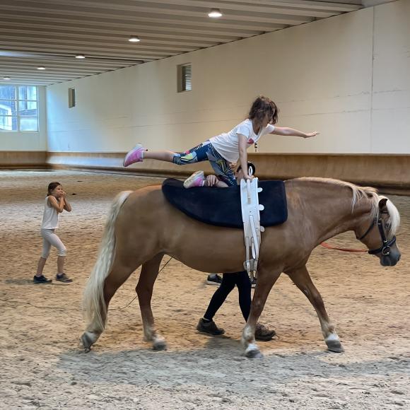 VAULTING IN THE GROUP