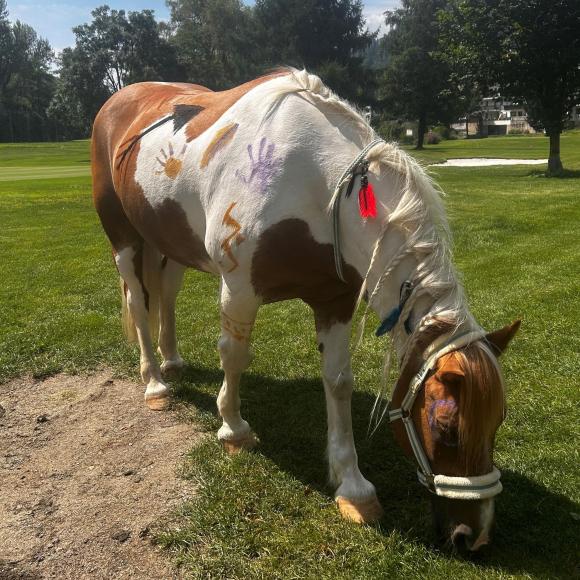 HORSE PAINTING