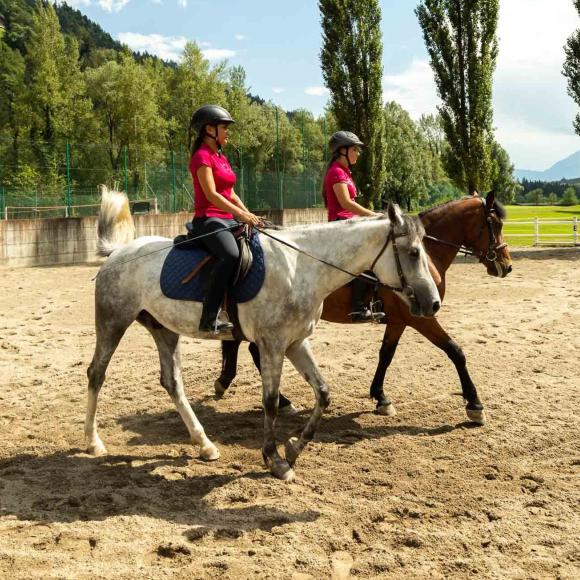 LEZIONE DI EQUITAZIONE INDIVIDUALE CONGIUNTA (2 O 3 PERSONE)