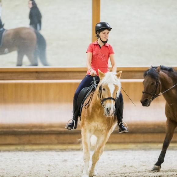 LEZIONE INDIVIDUALE CONGIUNTA (2 O 3 PERSONE)