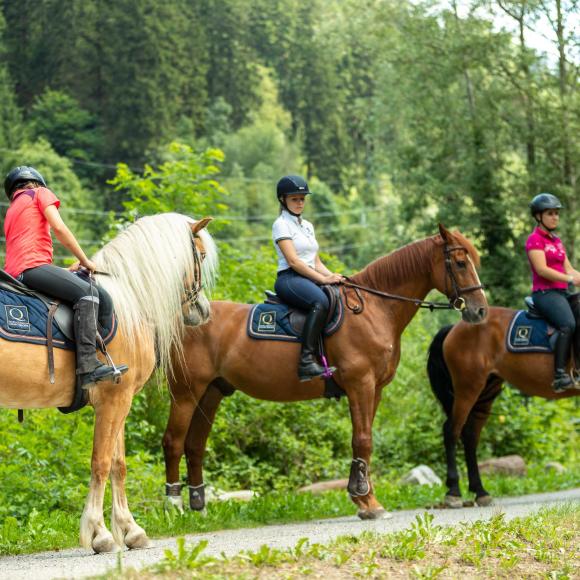 GEMEINSAME PRIVATAUSRITTE (2 ODER 3 PERSONEN)