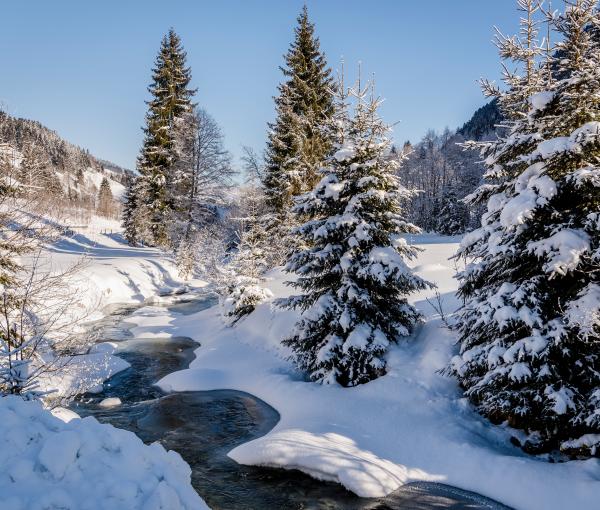 Einfach ein paar Tage über Weihnachten.