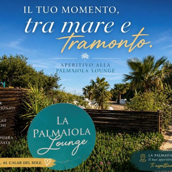 Cin cin al tramonto -6%