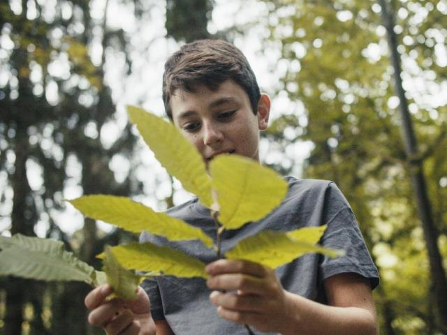 Kinderanimateurin m/w/d für die Sommerferien