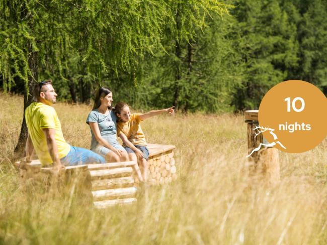 Familienwanderung im Wald nahe Hotel Jagdhof Pfurtscheller mit Baumhäusern