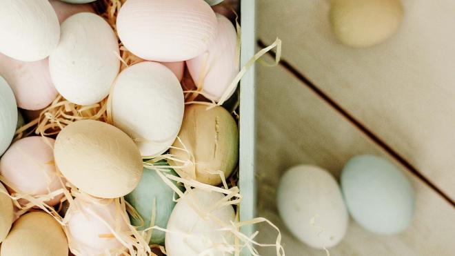 Großartige Familienzeit – Kinder bis 12 gratis!