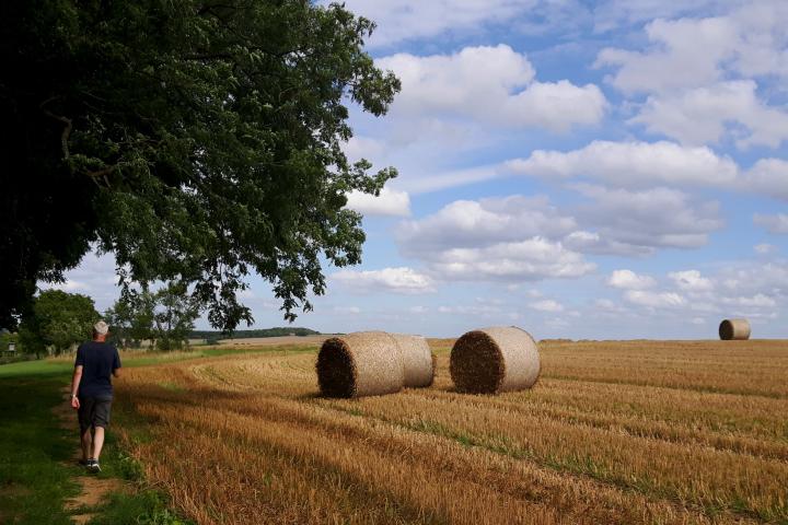 Wanderlust in der Südwestpfalz